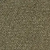 MA005 MS 52 COL. T17 - 3